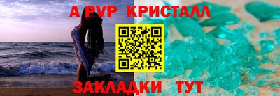 стаф Кингисепп