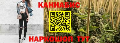стаф Кингисепп