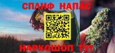 стаф Кингисепп