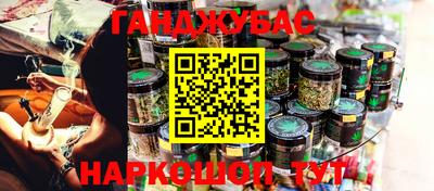 стаф Кингисепп