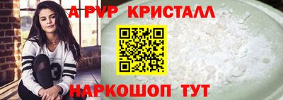 стаф Кингисепп