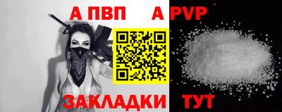 стаф Кингисепп